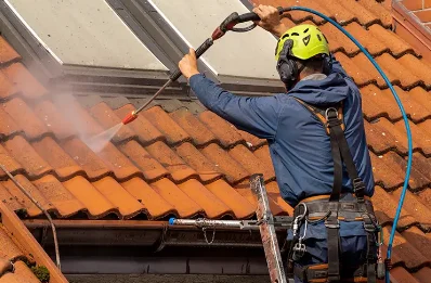 Démoussage et hydrofuge de toiture à Aspin-Aure